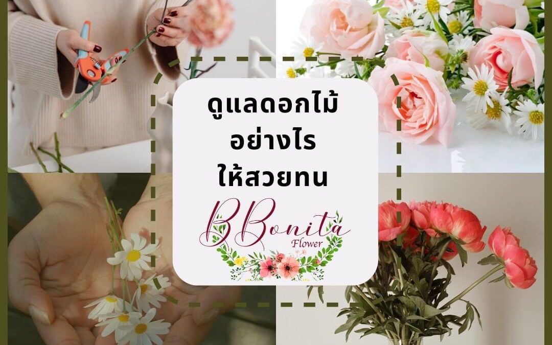 ดูแลดอกไม้อย่างไร ให้สวยทน
